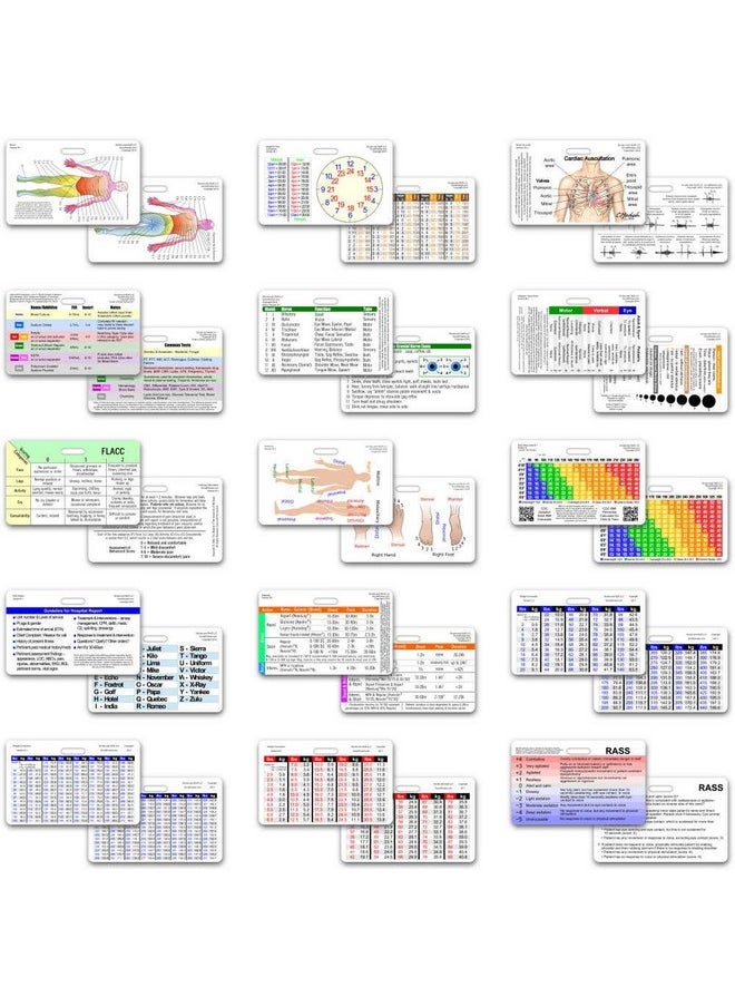 Scrubs and Stuff LLC Comprehensive Horizontal Badge Card Reference Set 30 Cards  - Image 3