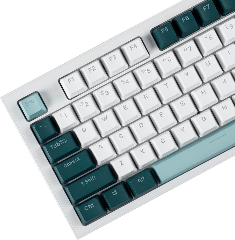 YMDK Double Shot 124 Dyed PBT Shine Through OEM Profile Keycap Rainbow Carbon Sunset Backlit Keycaps for MX Switches Mechanical Keyboard（Only Keycap） (Botanical 124 Key) - Image 5