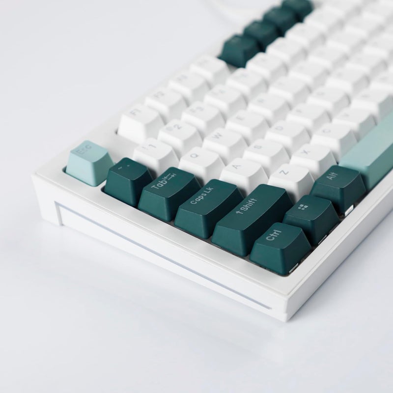 YMDK Double Shot 124 Dyed PBT Shine Through OEM Profile Keycap Rainbow Carbon Sunset Backlit Keycaps for MX Switches Mechanical Keyboard（Only Keycap） (Botanical 124 Key) - Image 4