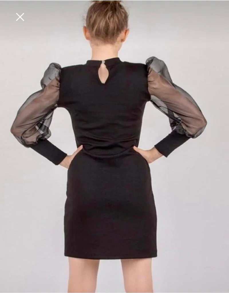 ماشو تريند Sheer Sleeve Mini Dress
