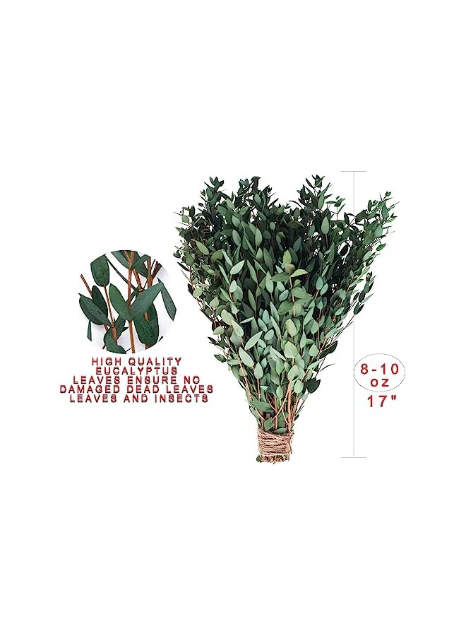 The Bros Large Dried Eucalyptus Stems - Real Preserved Fresh Eucalyptus Plant for Arrangement, Wedding, Home Décor,Shower, 30+ PCS 17'' 8oz(Natural Green) - Image 3