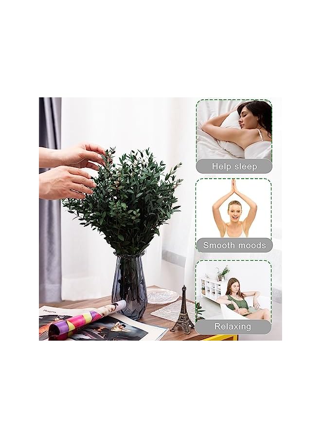 The Bros Large Dried Eucalyptus Stems - Real Preserved Fresh Eucalyptus Plant for Arrangement, Wedding, Home Décor,Shower, 30+ PCS 17'' 8oz(Natural Green) - Image 2