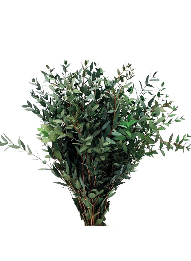 The Bros Large Dried Eucalyptus Stems - Real Preserved Fresh Eucalyptus Plant for Arrangement, Wedding, Home Décor,Shower, 30+ PCS 17'' 8oz(Natural Green) - Image 1