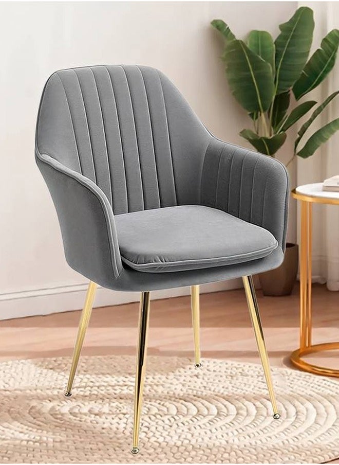 Chair With A Modern And Comfortable Design For The Living Room And Office Room In Grey Color - pzsku/ZF11599DFD7B8530B8581Z/45/_/1735732654/108ef1c9-533a-484a-9836-4f94436c58cb