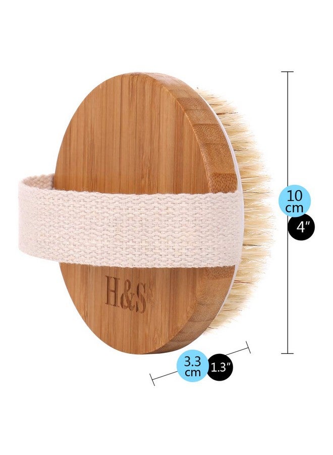 إتش آند إس فرشاة الجسم المستديرة لتقشير البشرة، قطعتين من فرش الاستحمام للسيلوليت للبشرة الرطبة والجافة، فرشاة استحمام للبشرة السيلوليت بشعيرات طبيعية - Image 5