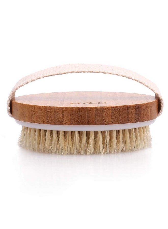 إتش آند إس فرشاة الجسم المستديرة لتقشير البشرة، قطعتين من فرش الاستحمام للسيلوليت للبشرة الرطبة والجافة، فرشاة استحمام للبشرة السيلوليت بشعيرات طبيعية - Image 4