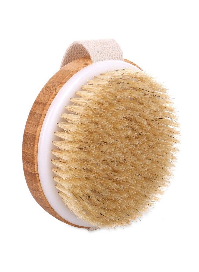 إتش آند إس فرشاة الجسم المستديرة لتقشير البشرة، قطعتين من فرش الاستحمام للسيلوليت للبشرة الرطبة والجافة، فرشاة استحمام للبشرة السيلوليت بشعيرات طبيعية - Image 2