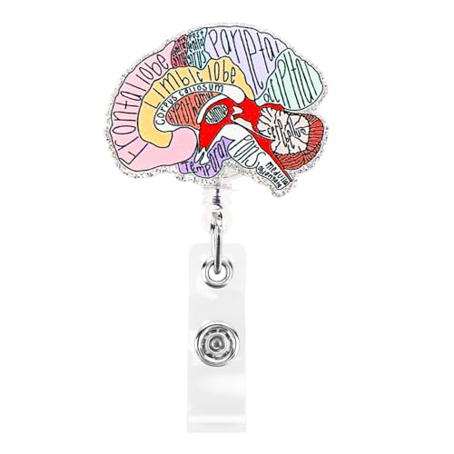 Dimeho Nurse Badge Holder Reels Retractable Nurse Name Tag Clip Anatomy Hand Drawn Flower ID Card Reel Organ Floral Pattern Rotatable Alligator Clip for Badge Holders RN Doctor Nursing Student(Brain) - Image 1