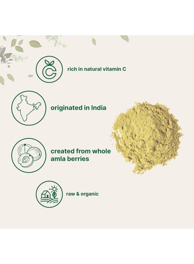 Micro Ingredients مسحوق أملّا العضوي (أمالاكي)، 1 رطل، معزز قوي لجهاز المناعة والطاقة، 100% سوبر فودز خام من الهند، غير مشع، غير ملوث، غير معدّل وراثيًا وصديق للنباتيين. - Image 4