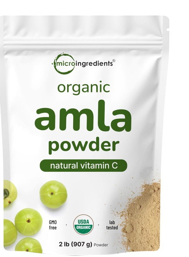 Micro Ingredients مسحوق أملّا العضوي (أمالاكي)، 1 رطل، معزز قوي لجهاز المناعة والطاقة، 100% سوبر فودز خام من الهند، غير مشع، غير ملوث، غير معدّل وراثيًا وصديق للنباتيين. - Image 1