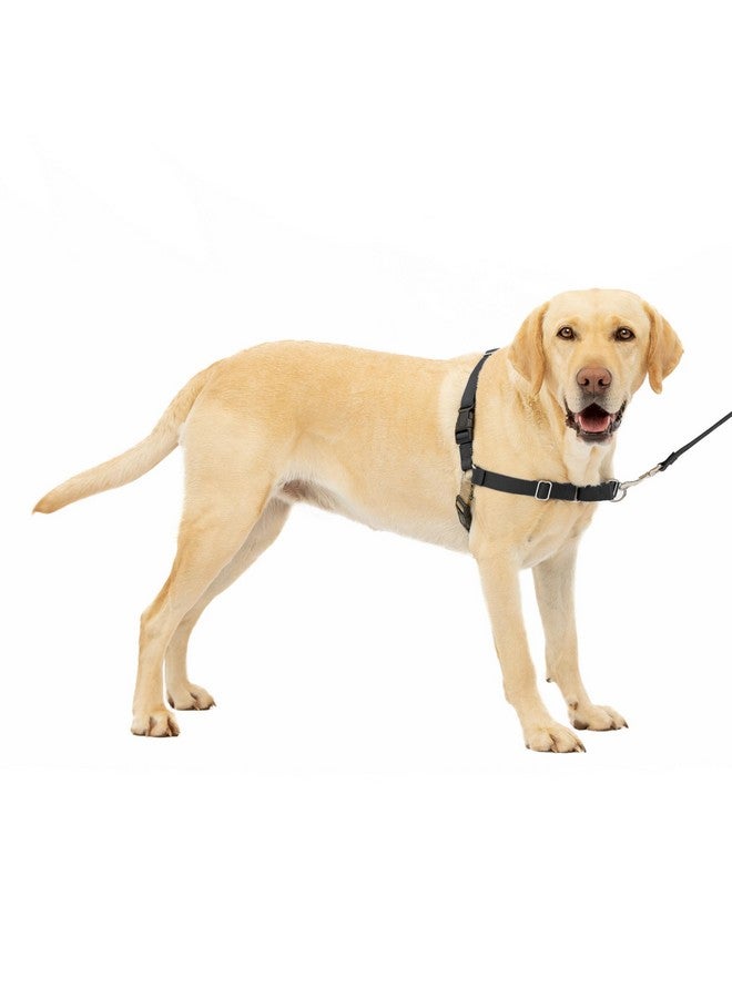 بيت سيف حزام PetSafe Easy Walk No-Pull للكلاب - الحزام الأمثل للمساعدة في منع السحب - تحكم في المقود وعلّمه آدابًا أفضل - يساعد في منع سحب الحيوانات الأليفة أثناء المشي، كبير، أسود/فضي - Image 1