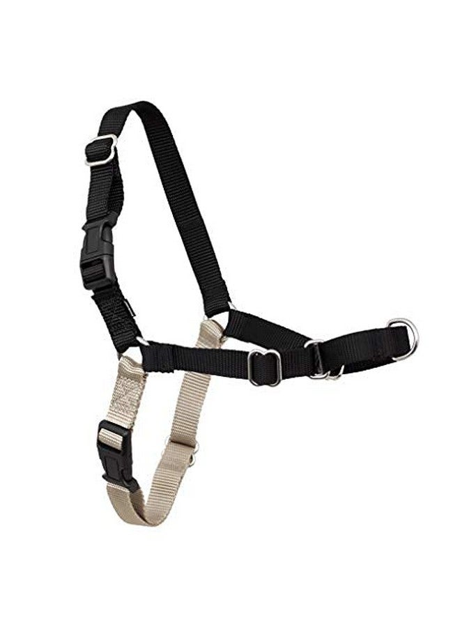 بيت سيف حزام PetSafe Easy Walk No-Pull للكلاب - الحزام الأمثل للمساعدة في منع السحب - تحكم في المقود وعلّمه آدابًا أفضل - يساعد في منع سحب الحيوانات الأليفة أثناء المشي، كبير، أسود/فضي - Image 4