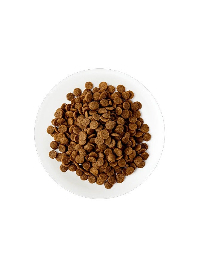 Schesir Kitten Chicken Cat Food - 400 G  - Image 2