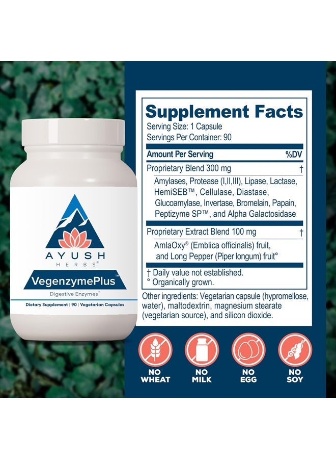 Ayush Herbs VegenzymePlus - Digestive Enzymes for Women & Men, Enzymes for Digestion with Bromelain, Lipase, Lactase, Protease, 100% Vegetarian Gut Health Supplement - 60 Capsules (1 Count) - Image 3