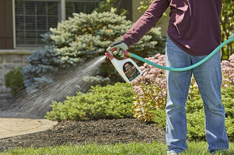 Ortho أورثو باج كلير قاتل الحشرات للعشب والمناظر الطبيعية جاهز للرش، يقتل صراصير دورية، البعوض، النمل، العناكب، البراغيث، القراد والمزيد، 32 أونصة. - Image 5