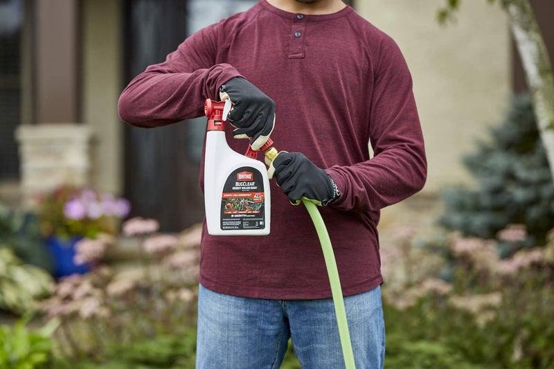 Ortho أورثو باج كلير قاتل الحشرات للعشب والمناظر الطبيعية جاهز للرش، يقتل صراصير دورية، البعوض، النمل، العناكب، البراغيث، القراد والمزيد، 32 أونصة. - Image 3