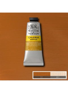 Galeria Acrylic Color, 60ml (2-oz) Tube, Raw Sienna Opaque - pzsku/ZF120C0E3F4484F1484A4Z/45/_/1687550773/e64240c1-c5c7-4c2c-a07c-03cc0e4d1db8