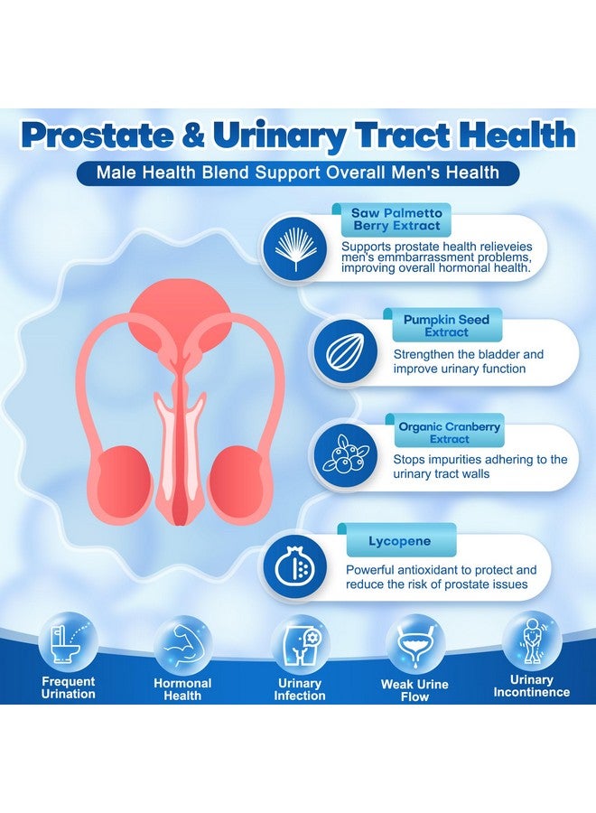 Probiotics for Men, 100 Billion CFUs with Prebiotics, Saw Palmetto Berry, Pumpkin Seed, Cranberry & Lycopene for Prostate Urinary Health, Mens Probiotic for Digestive & Immune Health 90 Capsules - Image 2