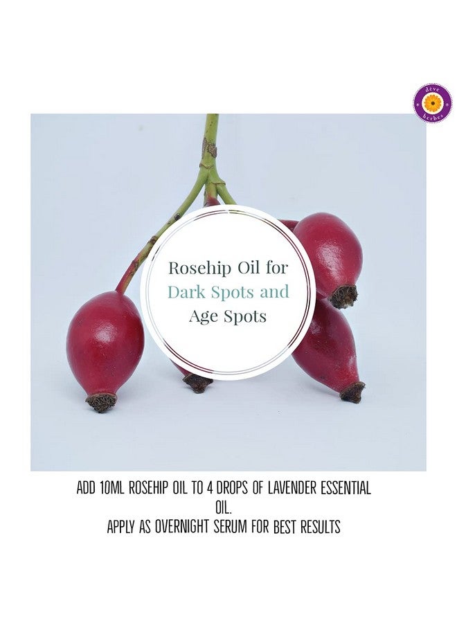 Deve Herbes Pure Rosehip Oil (Rosa rubiginosa) with Glass Dropper | Cold Pressed | Natural | Undiluted | For Diluting Essential Oils | For Hair, Skin & Massage | Men & Women | 100ml - Image 3