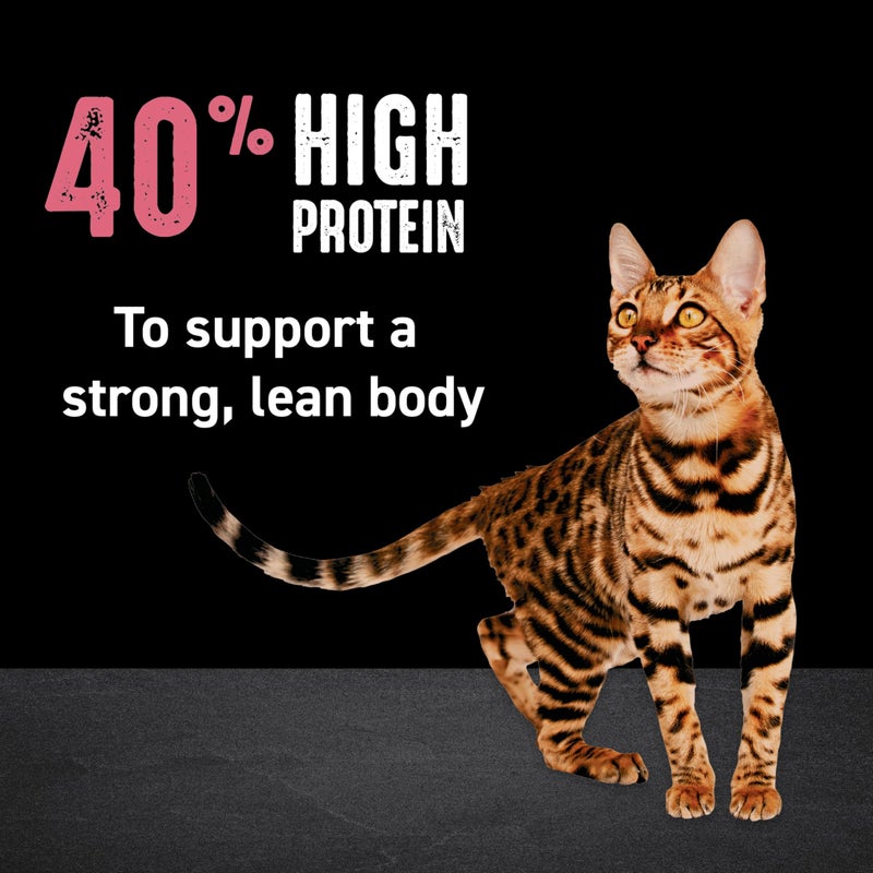CRAVE Grain Free Indoor Adult High Protein Natural Dry Cat Food with Protein from Chicken & Salmon, 4 lb. Bag - Image 3