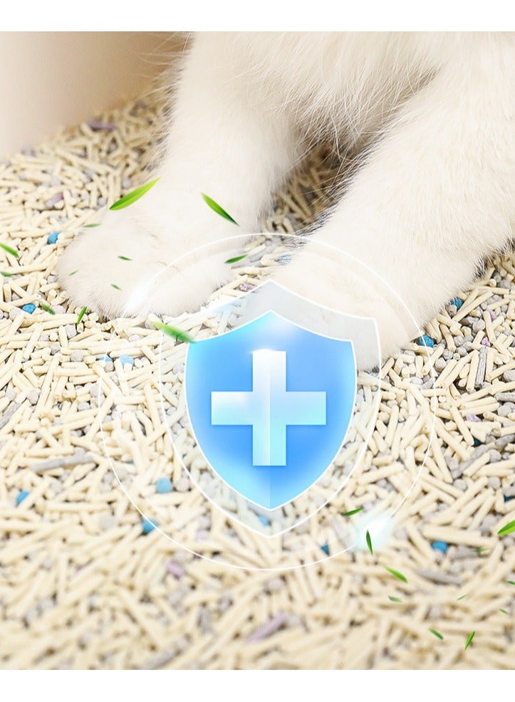 CityRiya-Long Cat Litter, Clumping Cat Litter Natural Ingredients, 2 Packs 12L Low Dust Superior Odor Control Cats Litters, Kitty Litters, Hard Clumping Moisture Absorbing Clay Multi Cats Litter (Original B)  - Image 5