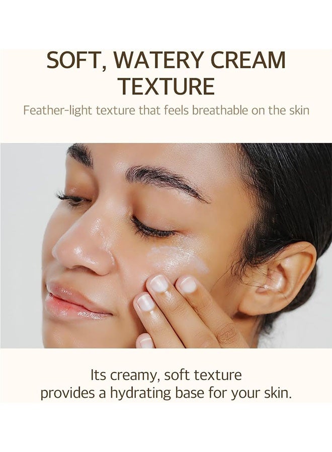 mixsoon Bean Sunscreen Broad Spectrum 50ml, SPF 50 Lightweight Airy Texture Sunscreen for Face, No White Cast and Non-Sticky Stocking Stuffers, Glass Skin Care - Image 3