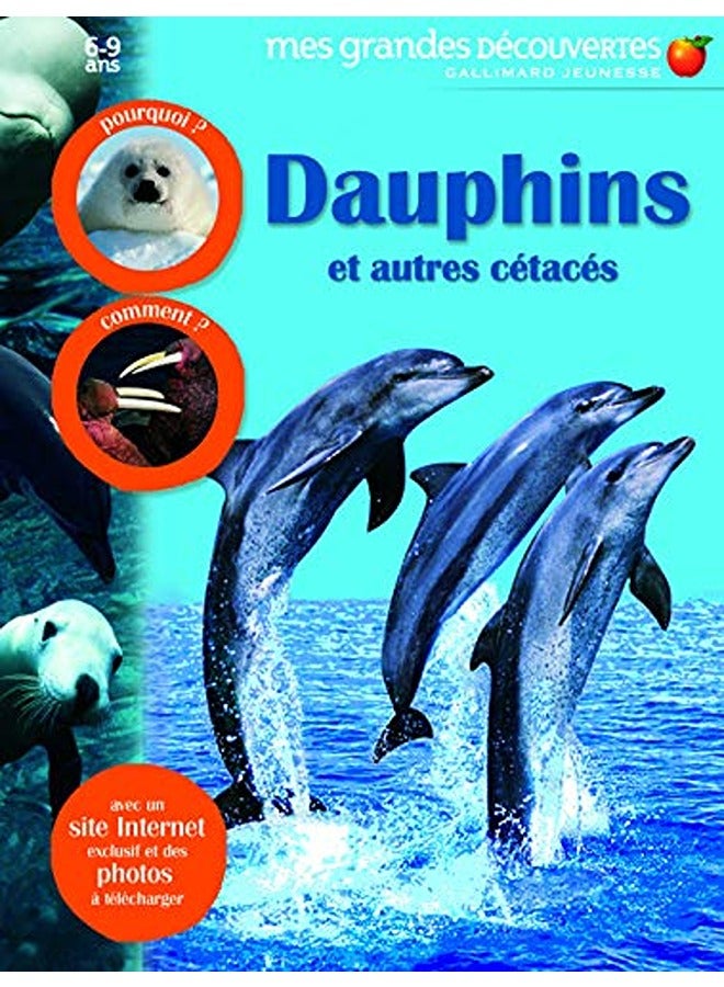 Dauphins et autres cétacés