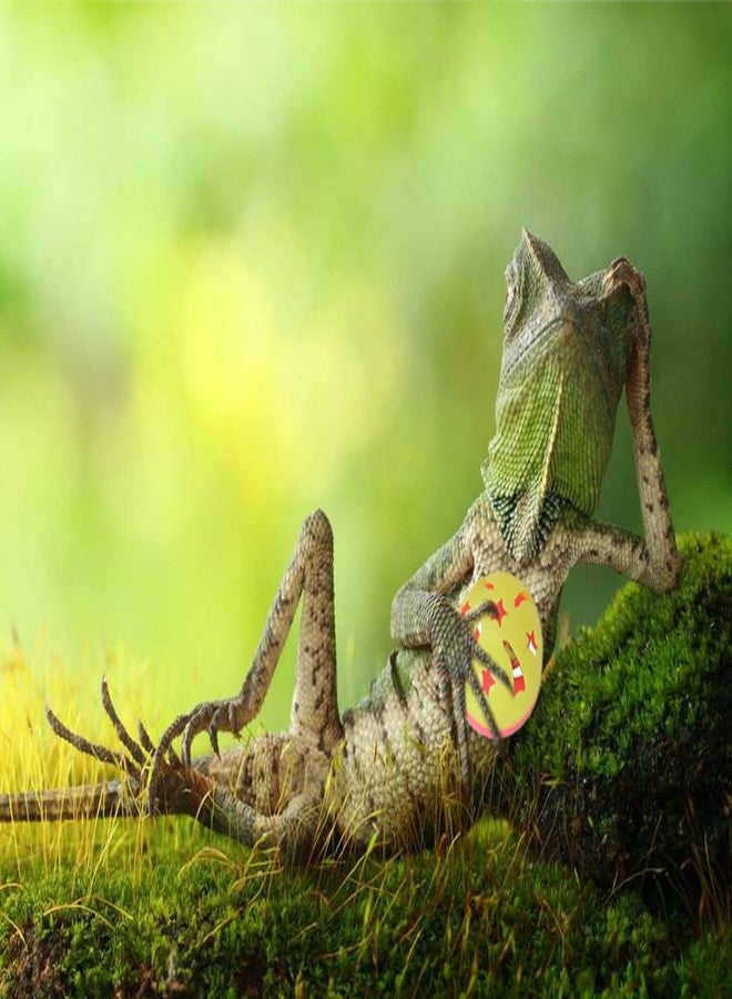 Koomduk 7 Pack Bearded Dragon Toys Reptile Lizard Toy Balls Bell with Suction Cups and Ropes Fit for Small Reptile Animals - Image 5