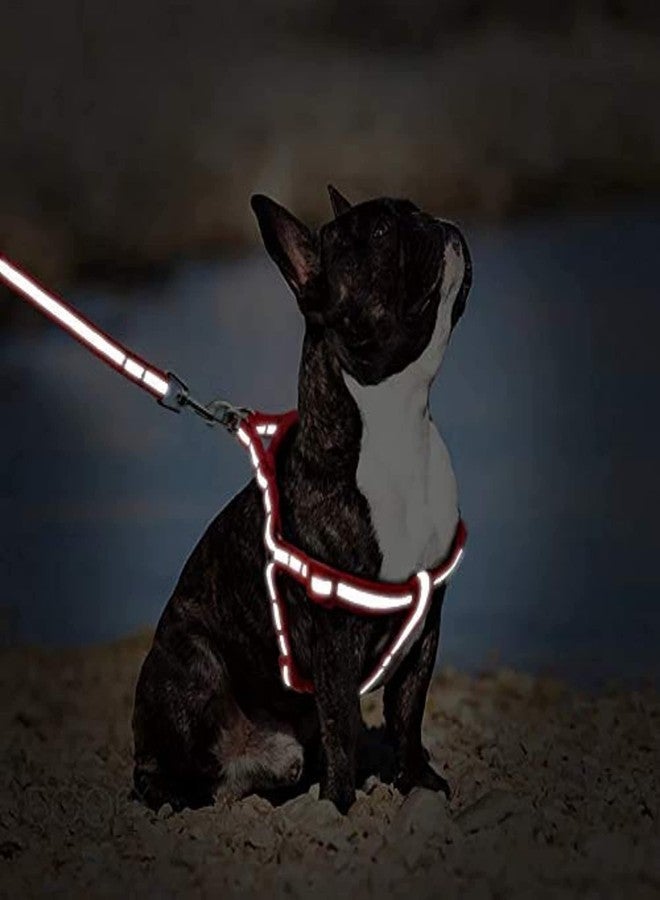 Smart Pups طقم مقود ومقود عاكس من النايلون قابل للتعديل من سمارت بابس، طقم حزام جسم عاكس من النايلون 15 مم للحيوانات الأليفة الصغيرة (أسود) - Image 3