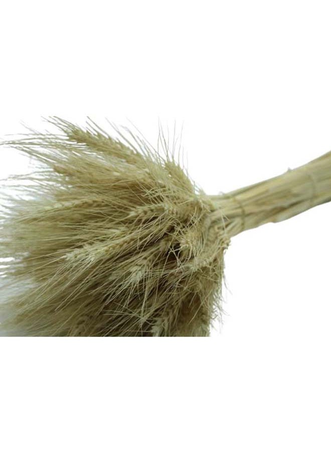 Generic - Dried Natural Wheat Grass Bundle Wheat Ear Fake Flowers Bouquet 50 - Image 1