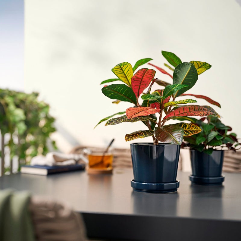 FEJKA Artificial Potted Plant with Colourful Leaves, Indoor/Outdoor, 12 cm Pot - Image 3