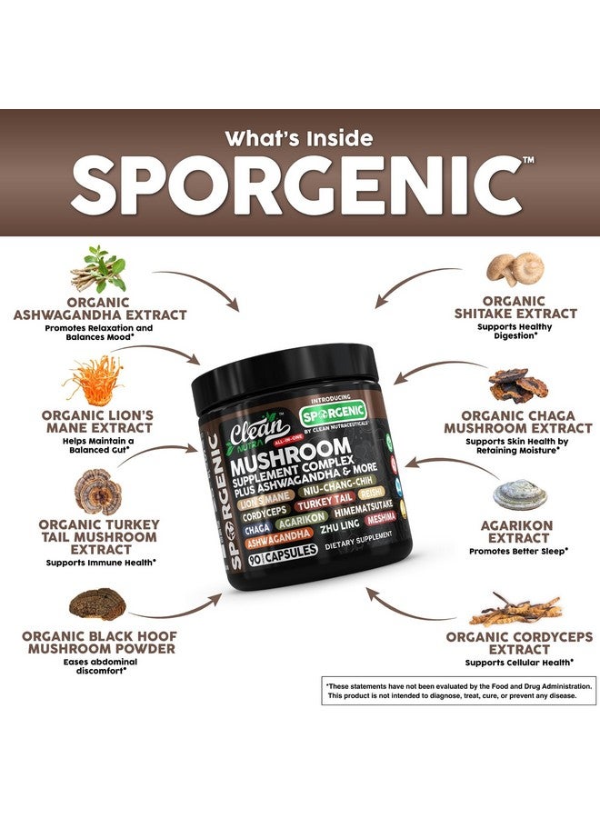 Clean Nutraceuticals Organic Mushroom Supplement | Ashwagandha Lions Mane Cordyceps Turkey Tail Reishi Mushrooms Maca Root Black Hoof Chaga Tremella Agarikon Shiitake Oyster Powder Capsules Sporgenic by Clean Nutra (1) - Image 3