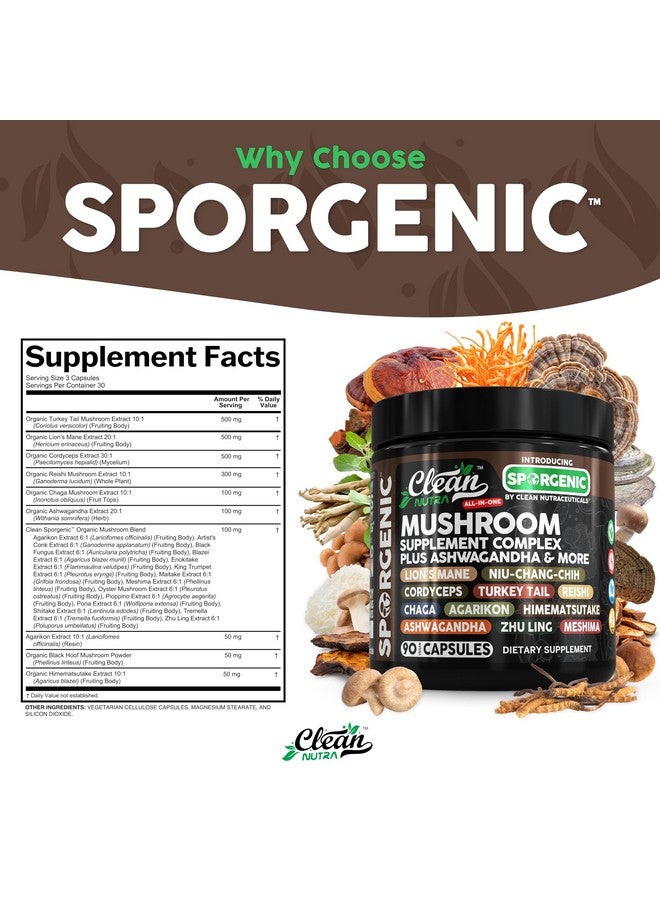 Clean Nutraceuticals Organic Mushroom Supplement | Ashwagandha Lions Mane Cordyceps Turkey Tail Reishi Mushrooms Maca Root Black Hoof Chaga Tremella Agarikon Shiitake Oyster Powder Capsules Sporgenic by Clean Nutra (1) - Image 5