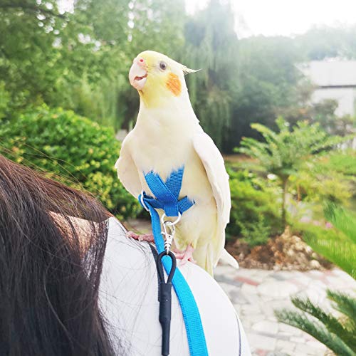 VANTRONIK VANFAVORI Adjustable Bird Harness with 80 Inch Leash,Outdoor Flying Training Rope Kit for Bird Parrots Cockatiel S Size Weight 70-120 Grams,Blue - Image 4