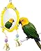 Litewoo Bird Mirror Toy with Bell Swing Hanging Ringer Leather Mirror Toy Parrot Cage Accessories Decoration for Small and Medium Parakeet Cockatiel Finch Lovebird Conure Budgie Cockatoo African Grey B - Image 3