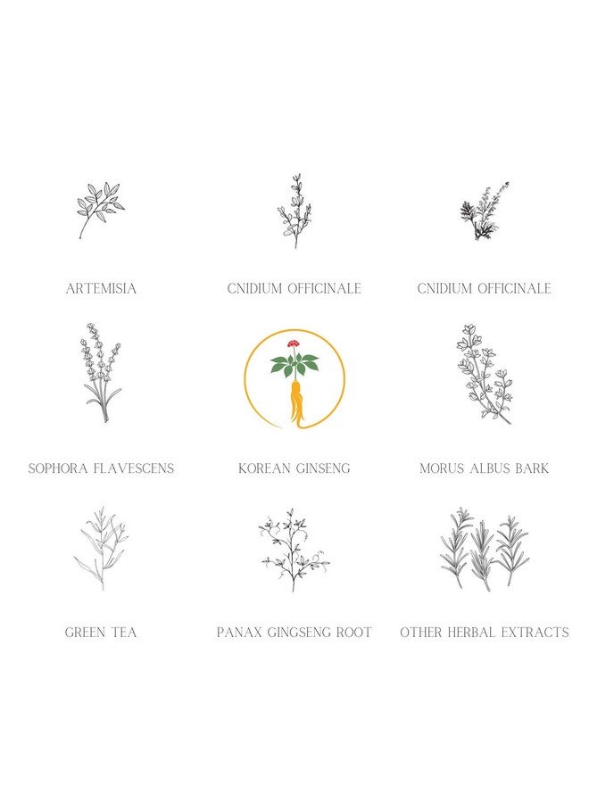 Daeng Gi Meo Ri - Ki Gold - Premium Shampoo + Treatment Set for Hair Loss, Thin Hair, Gray Hair Prevention, Medicinal Herbal Shampoo, All Natural, Korea's No. 1 Brand - Image 3