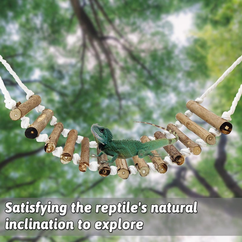 VCEPJH Reptile Bridge for Terrarium 2 Pack Wooden Bearded Dragon Climbing Ladder Hanging Flexible Swing Tank Deor Accessories for Gecko Hermit Crab Chameleons Turtle Lizard Frog - Image 3