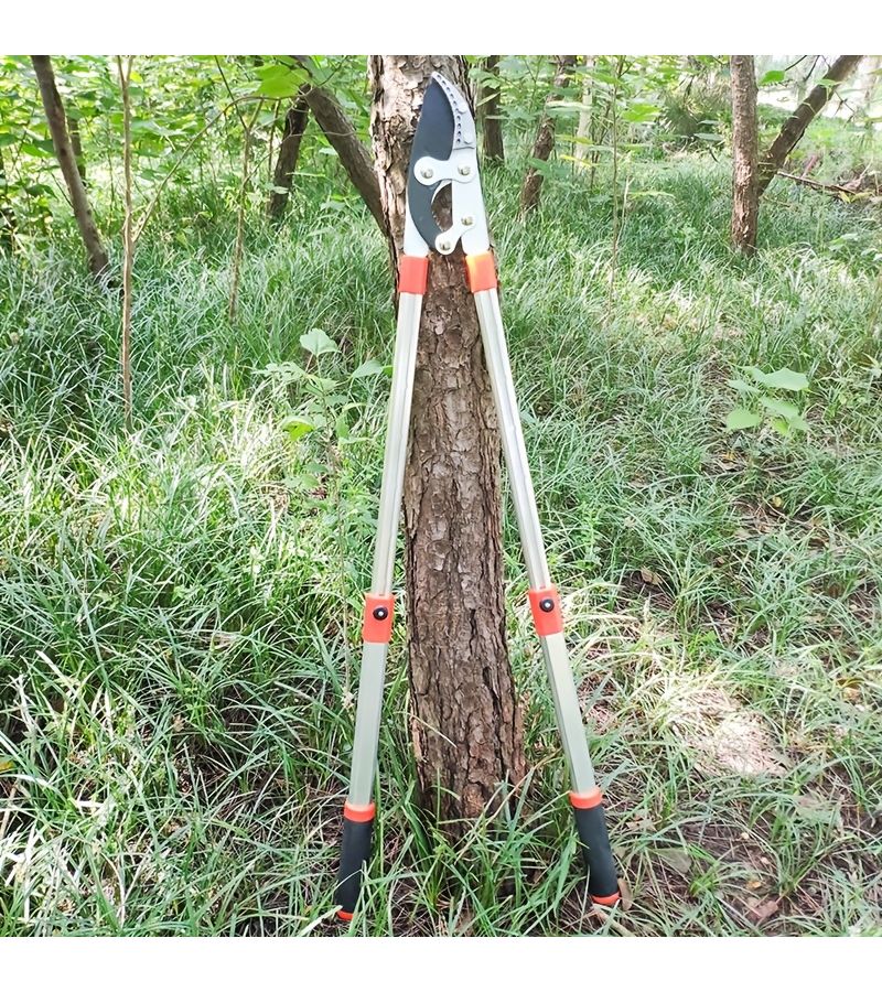 Button Shark Head Telescopic Shears High Efficiency Heavy Duty Thick Branch Pruning Scissors With PTFE Blade Extendable Handle For Garden Tree Trimming - Image 1