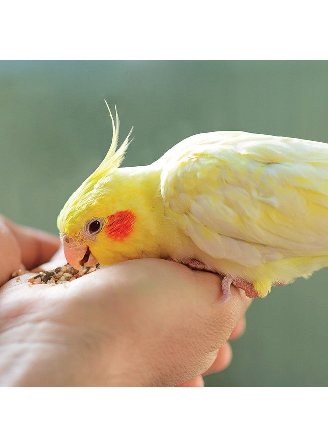 Kaytee Food From The Wild Natural Snack Food Treats For Pet Birds, 3 oz - Image 3