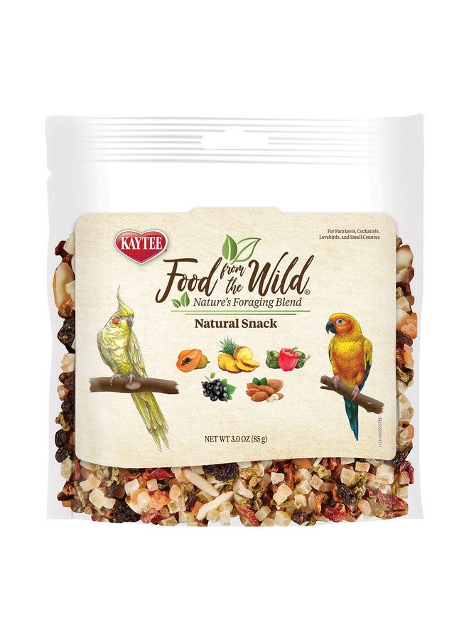 Kaytee Food From The Wild Natural Snack Food Treats For Pet Birds, 3 oz - Image 1