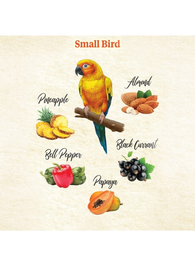 Kaytee Food From The Wild Natural Snack Food Treats For Pet Birds, 3 oz - Image 4