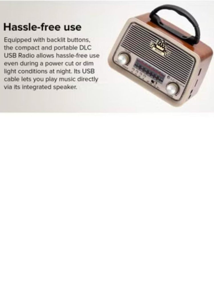 Denx Three channel USB radio with Bluetooth AUX TF card flash disk  - Image 4