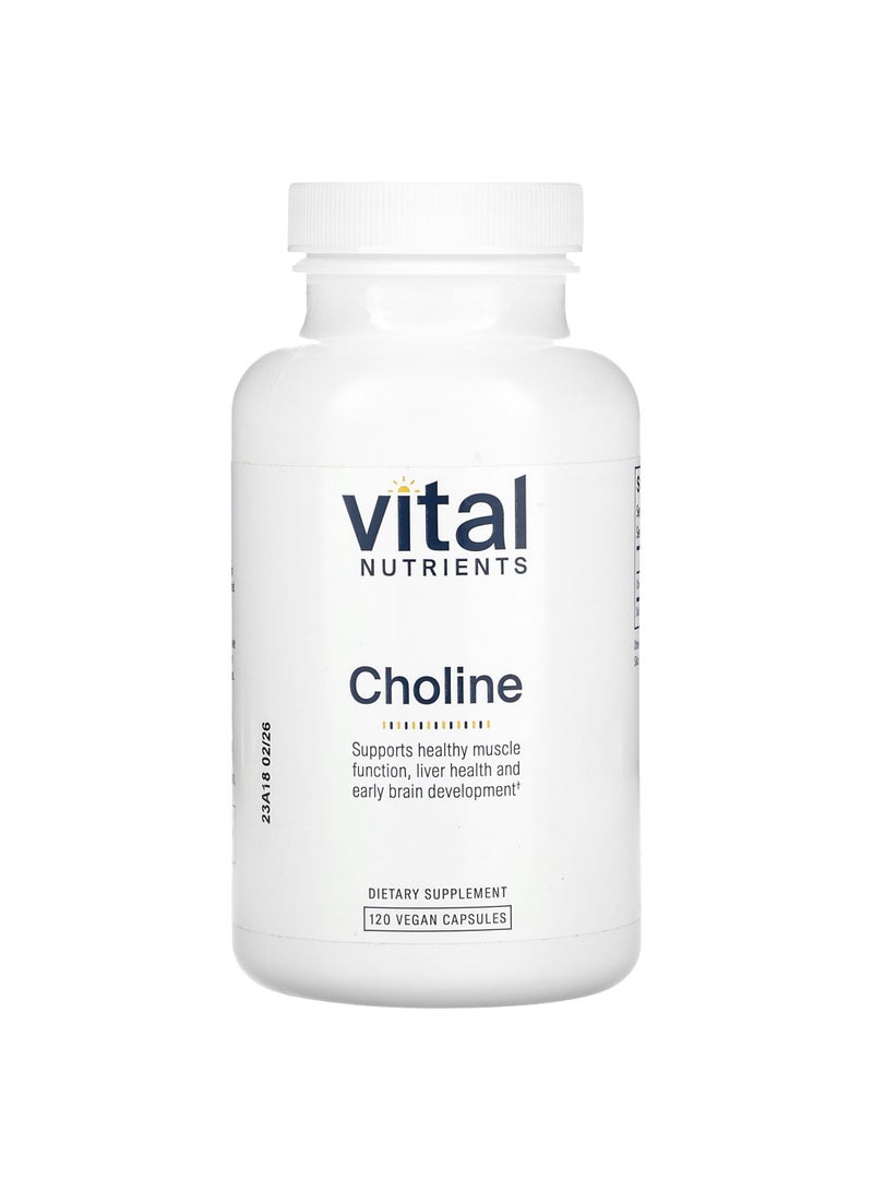 Vital Nutrients Choline, 120 Vegan Capsules (275 mg per Capsule)