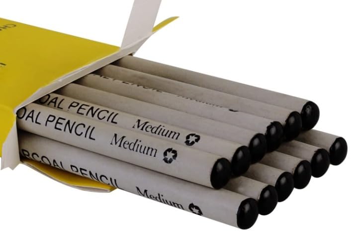 Like-It 12Pcs Professional Soft Medium Pastel Pencil Wood Black Tints Pastel Charcoal Pencils For Drawing School Art Supplies - Image 1