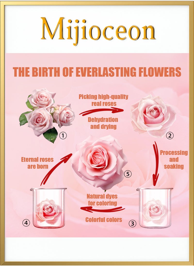 Mijioceon Preserved Rose Moss Bear with Necklace Rose Gifts with Light for Women Girlfriend Wife Mom Grandma Birthday Christmas Valentines Mothers Day Anniversary Wedding Thanksgiving  - Image 5
