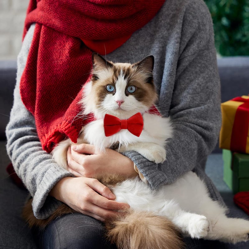 Sliverdew 2 Pcs Velvet Cat Collar with Bell and Bowtie, Adjustable Breakaway Cat Collars Kitten Small Puppy Safety Bow Tie Solid Wedding Basic Color Cat Bow Tie Collar - Image 3
