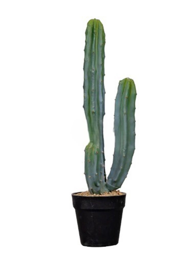 HRT WALL Cactus Cereus Mexican 64cm - green 