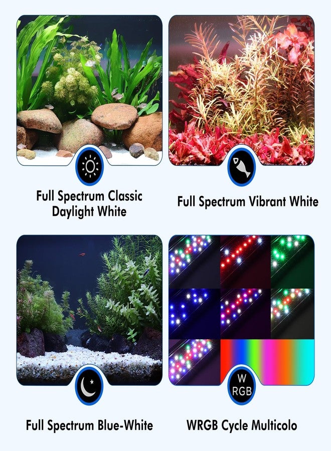 hygger Auto On Off Aquarium LED Light, 4 Mode Lighting Full Spectrum Fish Tank Light 24/7 Timer Colorful Fish/Sun/Nightlight/WRGB Cycle for Freshwater - Image 3