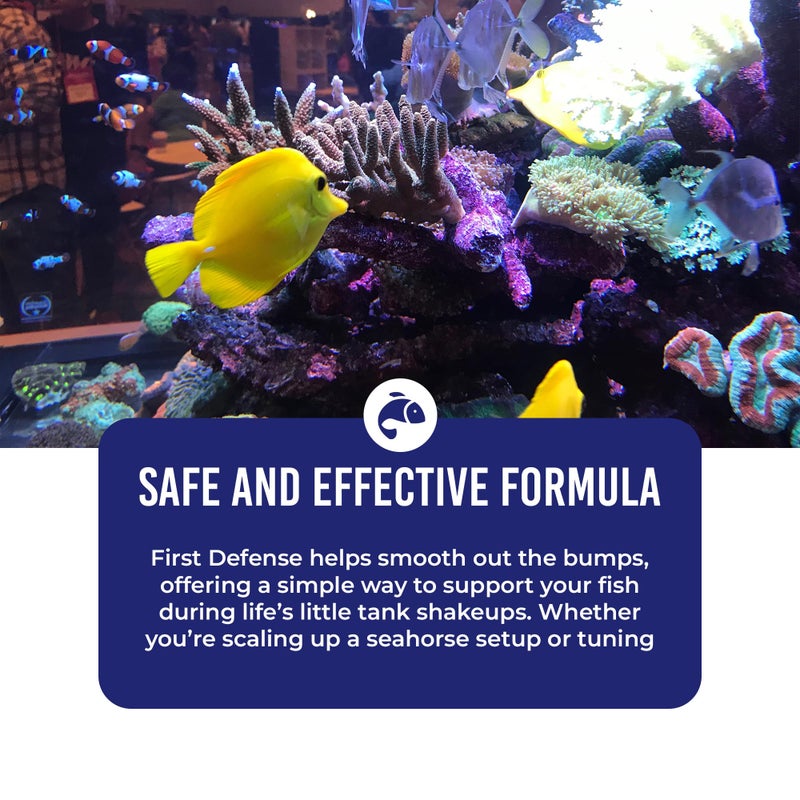 DrTim's Aquatics Reef First Defense Fish Stress Relief and Immune Support â€“ For Reef, Nano, Sea Horse Fish Tanks, Aquariums â€“ Revitalizes Natural Coat â€“ Detoxifies Heavy Metals, Repairs Wounds â€“ 8 Oz. - Image 4