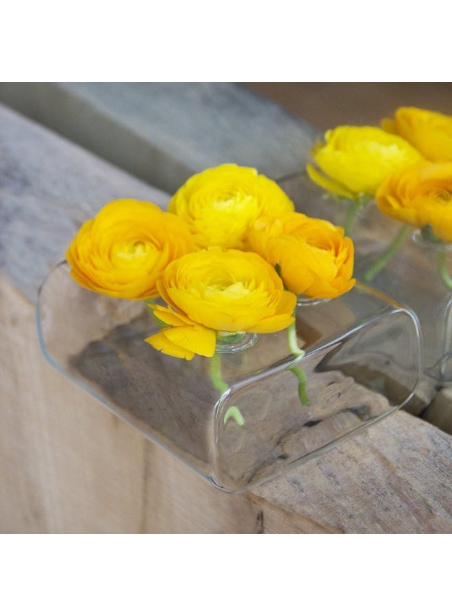 Chive Hudson 2 Flute Flower Vase  Beautiful Small 4Hole MultiChambered Clear Glass Bud Vase  Perfect Flower Vases for Centerpieces Wedding Decorations and Living Room Decor - Image 3